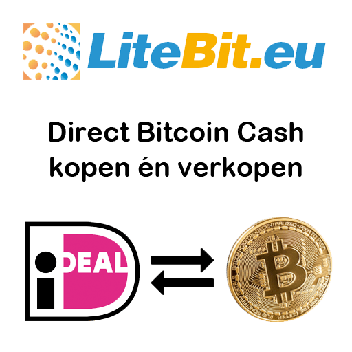 Bitcoin cash kopen